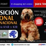 Imagen destacada del artículo «Exposición Nacional e Internacional en el Shopping "Pilar Point"»